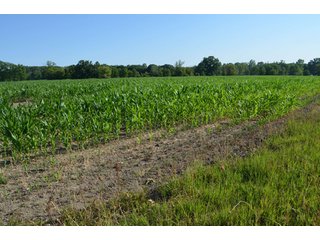 Property photo 22 - 64 Acre Farm Offered in 4 Tracts or in Combinations - Real Estate Auction